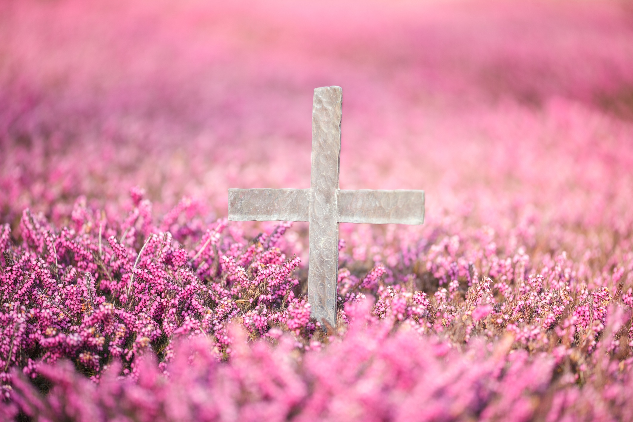 Günstige Feuerbestattung Recklinghausen ab 1099 Euro - Bestatter FreiPfad mit Blumenschmuck